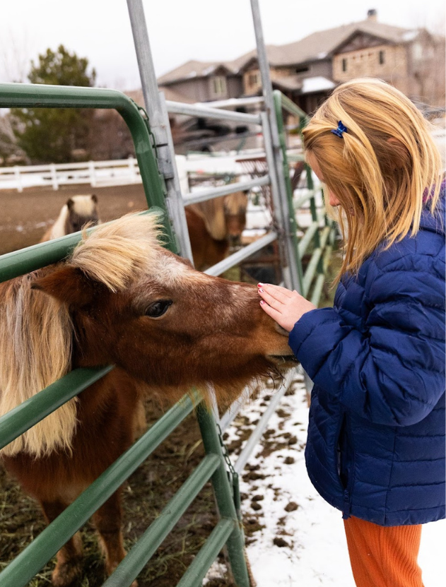 Girl Pets Pony