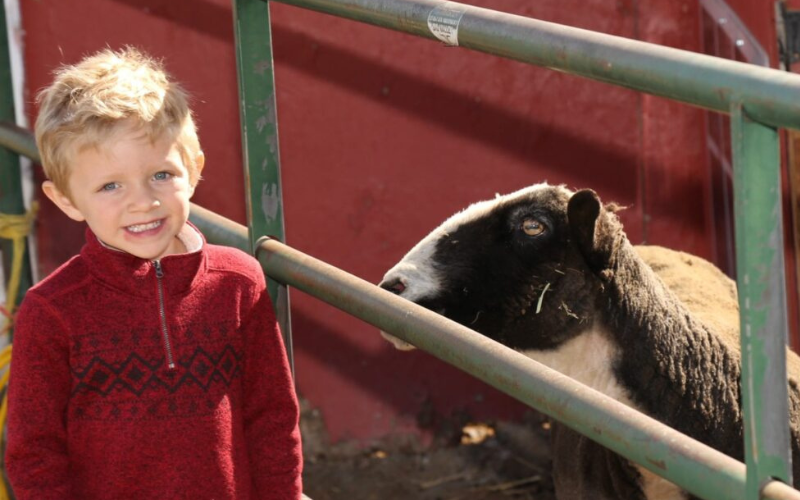 HVCR Preschool Carousel Images - Boy with Goat