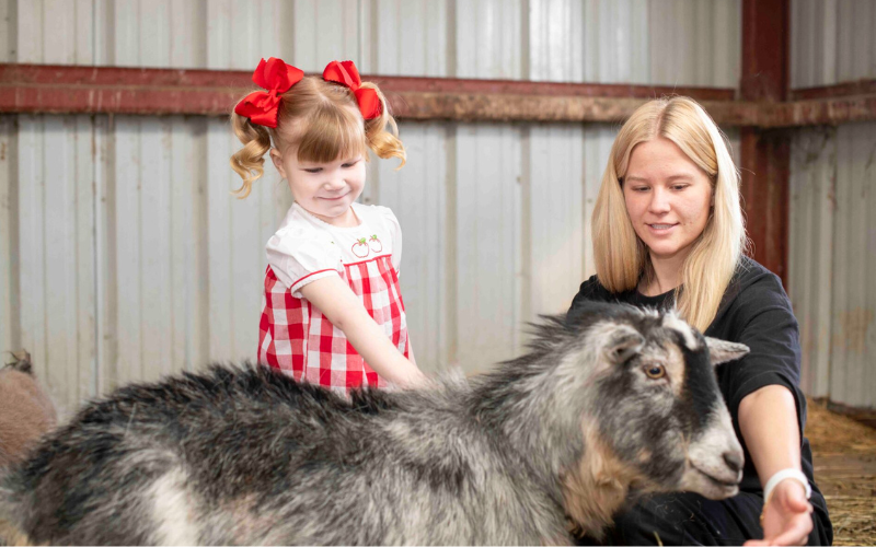 HVCR Preschool Carousel Images - Goat Petting